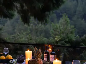 Pine-Shaded Hotel