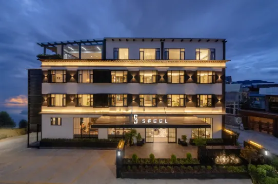 SFEEL Designer Hotel (Dukezong Ancient City Branch)