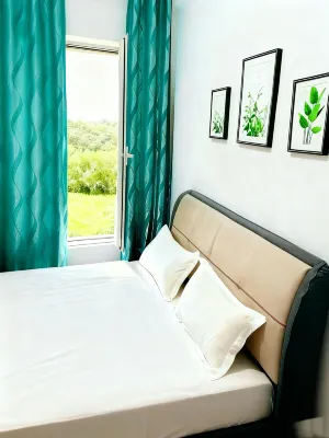 Medog Luyi Boutique Homestay Hotels in Motuo