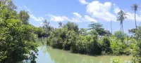 เลอ ปัญปุรีย์ เกาะลันตา รีสอร์ท - บริการรถรับส่ง