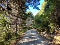 Amongst the pines | 2 bedroom bach | Stellar Views - ヴィラ