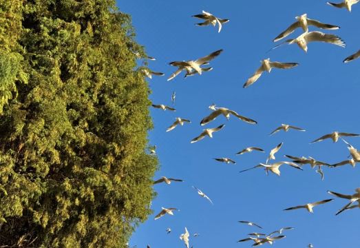 호텔 내부 사진