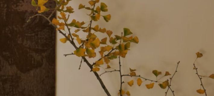 Chengye Homestay Hotel a Chengjiang