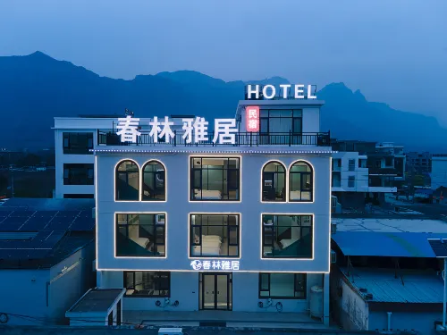 Chunlin Yaju Homestay (Henan Baoquan Tourism Resort Area) - Romantic