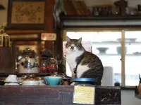 TOKI NO YADO NAHA by Sunrest Resort