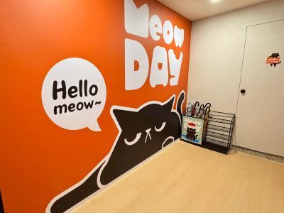 Meow Day Hostel