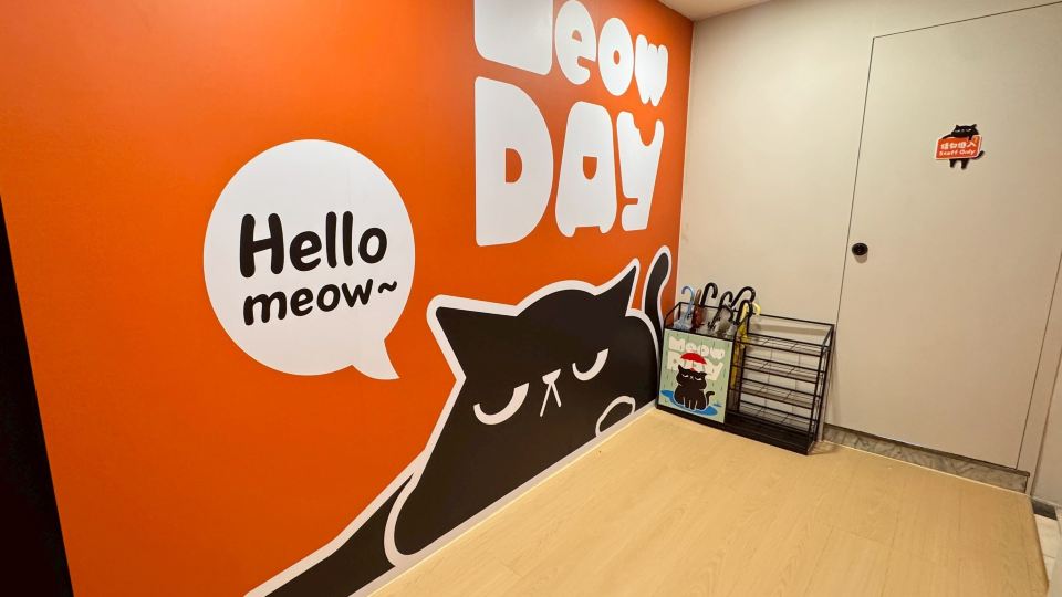 Meow Day Hostel