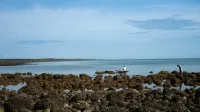 Hainan Danzhou Su House Hotel - Bãi biển