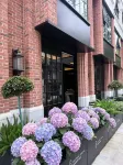 Central Ananas Hotel Kunming Old Street & Green Lake - 4-Star