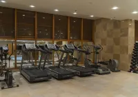 Divani Meteora Hotel - Gym