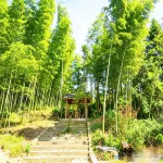Mangshan Yao · Wangshan Jian Homestay - parking