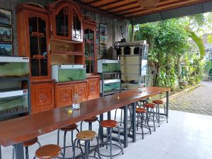 Co Living Bali Sweet Home