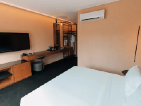 The Funny Lion - Puerto Princesa Hotels in Palawan