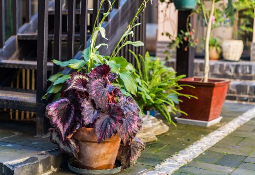 Yuzhichen Homestay 객실