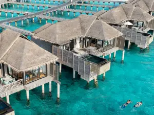 Popular Premium Hotels in Haa Alif Atoll