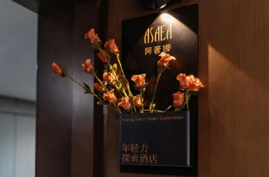 阿奢娜 · Designer Hotel（深圳羅湖水貝珠寶城店） 鄰近林記水族器材商行（蘭花社區店）的酒店