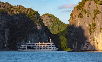 The Au Co Cruise - Managed by Bhaya Cruise