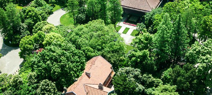 Wuhan Conference Center(Guesthouse) Hotels in Wuhan