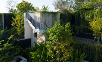 Tree O'clock Pool Villa - Phuket