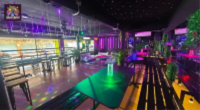 迪斯科動物園酒吧和旅館