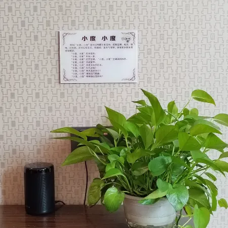 Jinqiu Courtyard Hotel