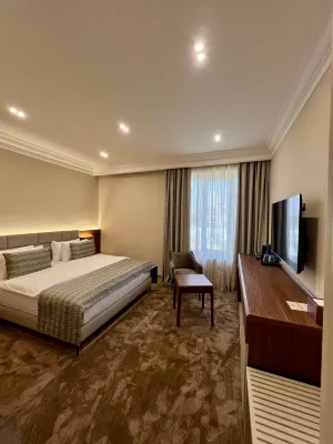 Plaza Viktoria Hotel Yerevan