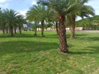 荔波·波橋極簡輕奢Villa民宿 荔波站附近的飯店