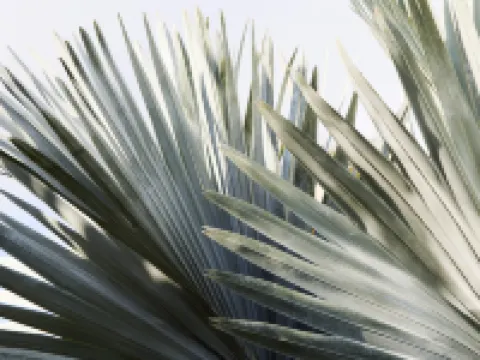 The Sundays Hotels in Hamilton Island