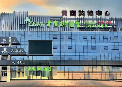 Vatica Hotel (Luotian County City Plaza) Hotel in zona Blue City Peach Blossom Source