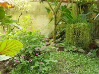 Unawatuna Villa Bird Nest - Mountain view