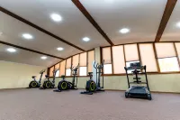 Bagizagan Hotel Samarkand - Gym