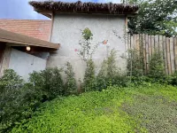 Le Doi -  Holiday Villas
