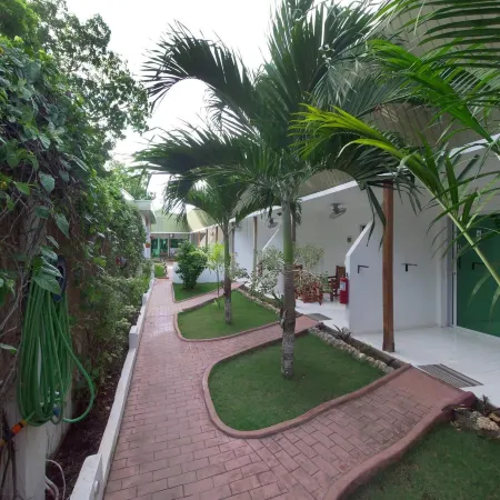 Alona Gecko Inn