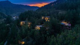 Forest homestay at sunrise
