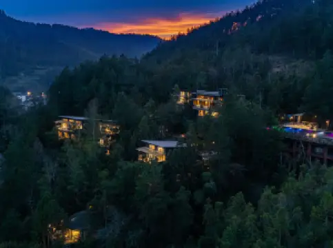 Forest homestay at sunrise