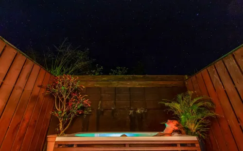 Holistic retreat coco - Quầy Bar