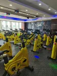 China Pearl Hotel - Gym