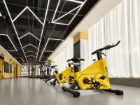 Chongzuo Daxin Zhanpeng International Hotel - Gym