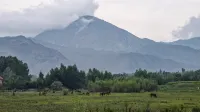 Ahe No.1 · Wind Song Wilderness | Panoramic Camp Resort (Ahe Highway, Altay) - Romantic