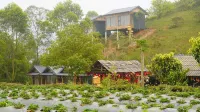 Thao Nguyen Homestay Ta Xua - 2つ星