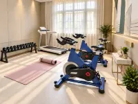 Harbin Xueli Premium Hotel (Central Street Sophia Church Branch) - palestra