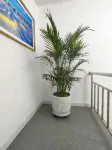 鹿鳴客棧 - 2 星級