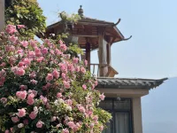 Waterliu Zhongsheng Inn