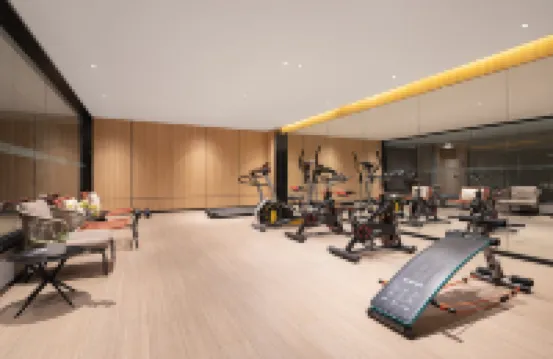 H Hotel (Xuchang Caowei Ancient City Pang Donglai People's Branch) - Gym