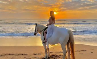 Poltton International Apartment Hotel