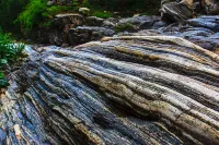 Tranquil Courtyard Homestay