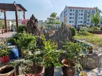 Shankee Hotel (Mengjin Bus Station Huanghe Avenue) Hotels in Luoyang