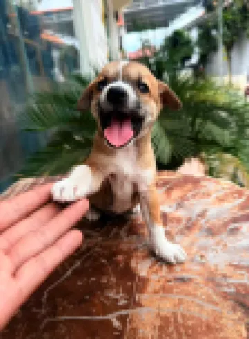 友邦國際酒店（華人店，帶電動車出行，可自助洗衣）