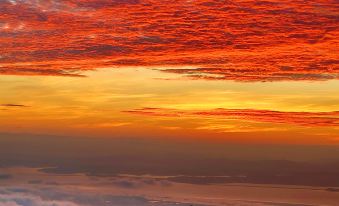 Wuhong Tea House Guesthouse