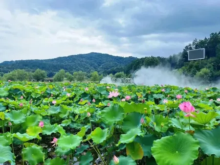 Loushanglou Wooden House Hostel Отели рядом с достопримечательностью «Loushanglou Pastoral Complex»